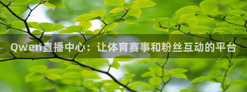 黑白直播官网体育：Qwen直播中心：让体育赛事和粉丝互动的平台