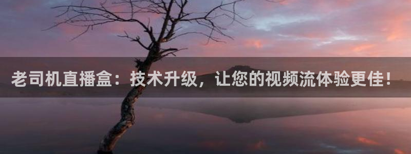 黑白直播免费体育：老司机直播盒：技术升级，让您的视频流体验更佳！