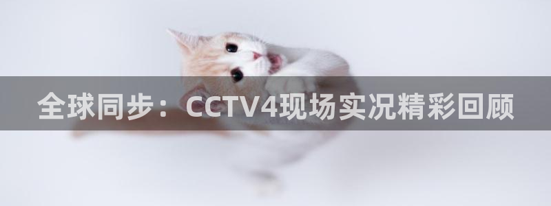 黑白足球直播体育在线观看：全球同步：CCTV4现场实况精彩回顾