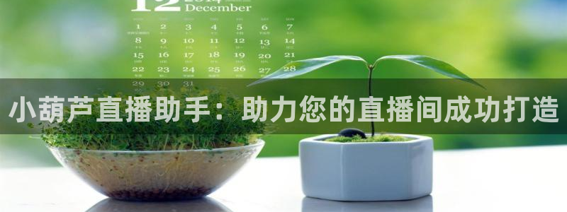 黑白体育直播高清：小葫芦直播助手：助力您的直播间成功打造